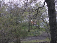 fugio monte Crisimo201100501 138